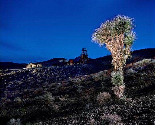 Joshua Tree in the Ghost Town Gold Point in Nevada