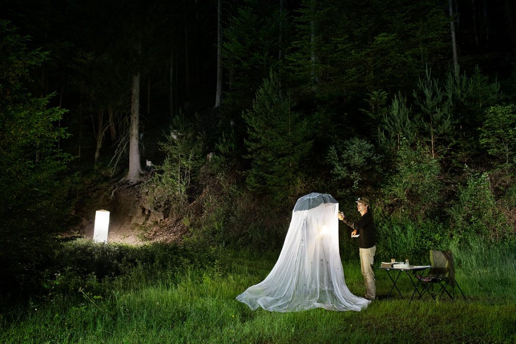 Dr. Michael Ochse, Falterexperte mit Lichtfallen im Pfälzer Wald