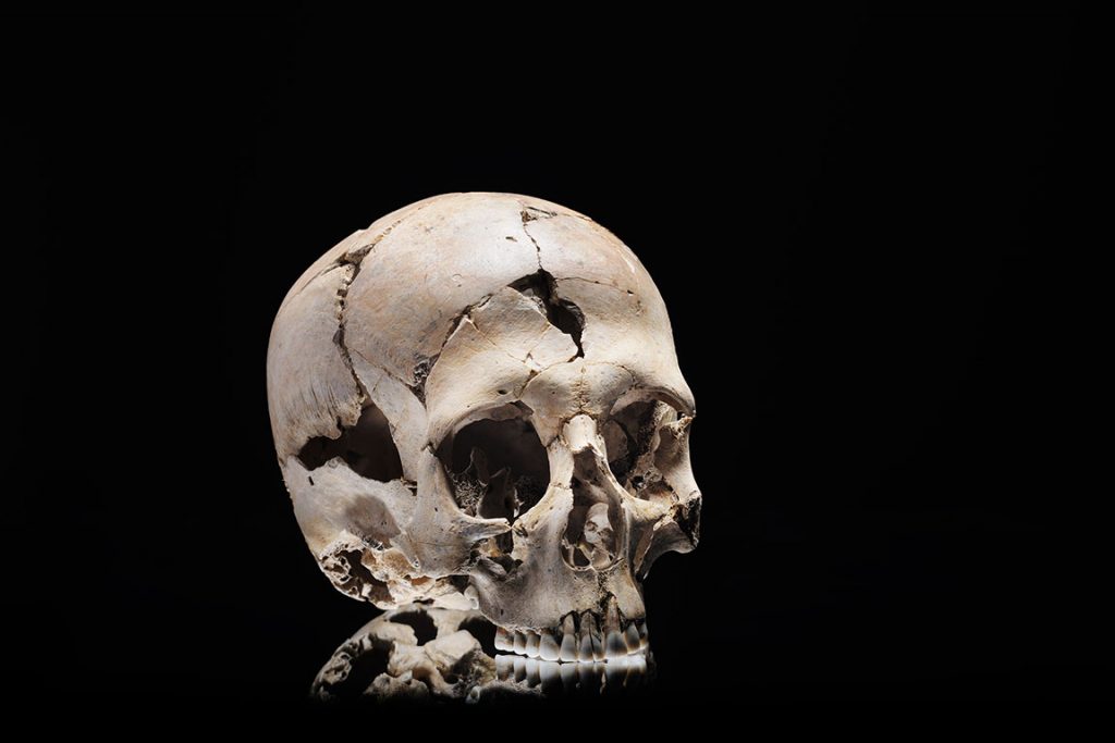 Skull of a human from the findings on Mormont