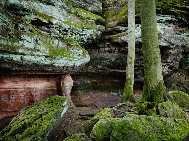Altschlossfelsen, Pfälzerwald