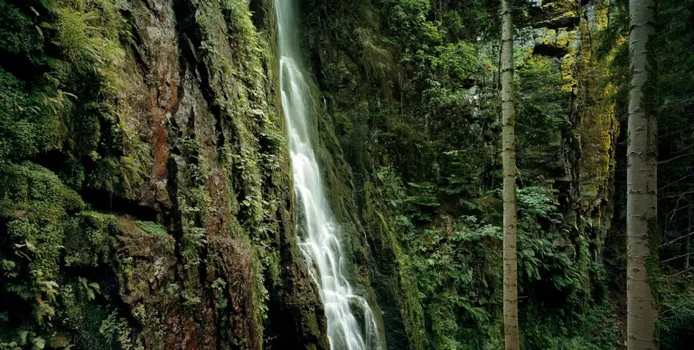 Burgbach Wasserfall, Schwarzwald