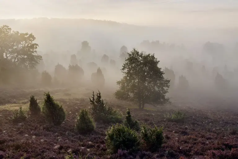 Totengrund, Lüneburger Heide