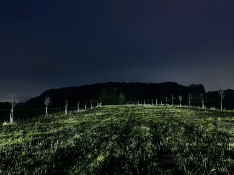 Römerstrasse in der Eifel am Olbrückwald, eine Allee aus Eichenzypressen markiert, wie breit die Trassen der Römerstraßen einst waren