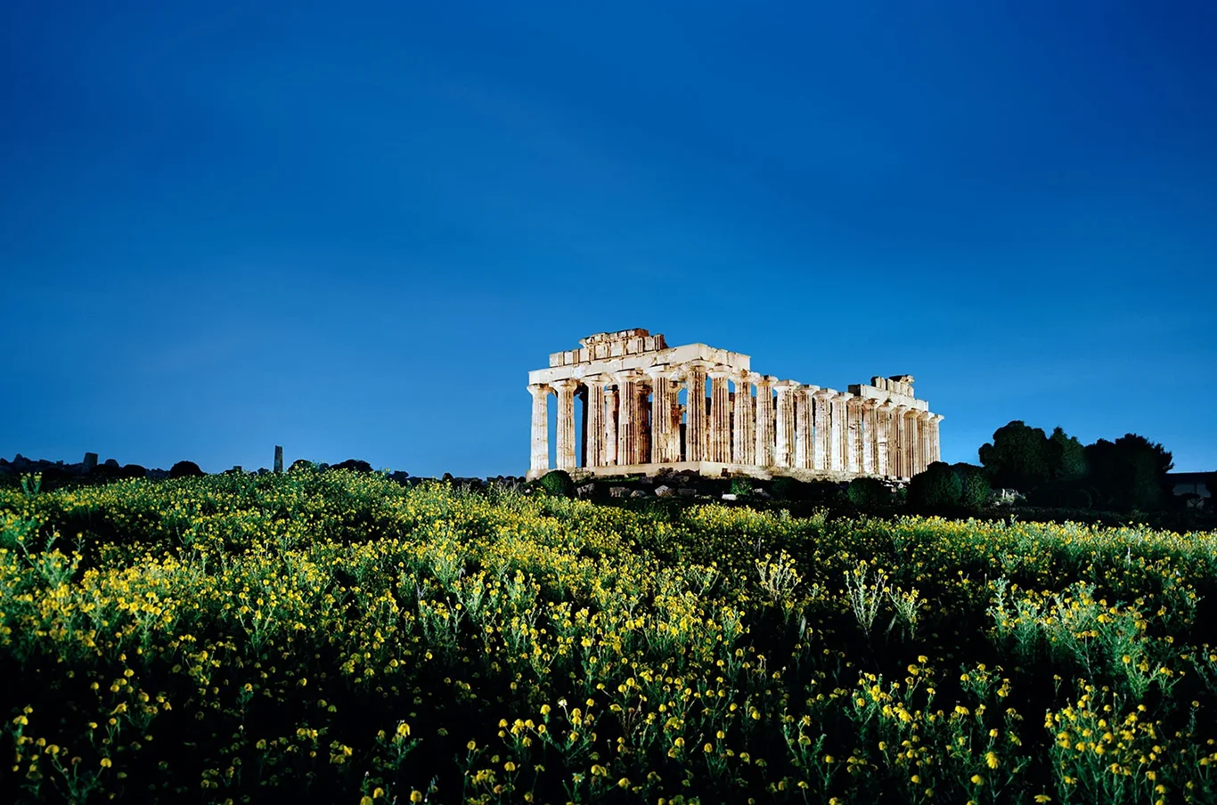Site of ancient Selinunte, Temple E