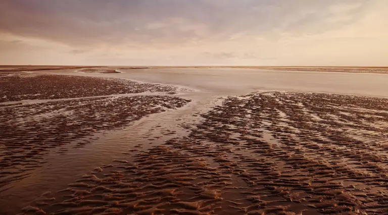 Wattenmeer bei St. Peter Ording