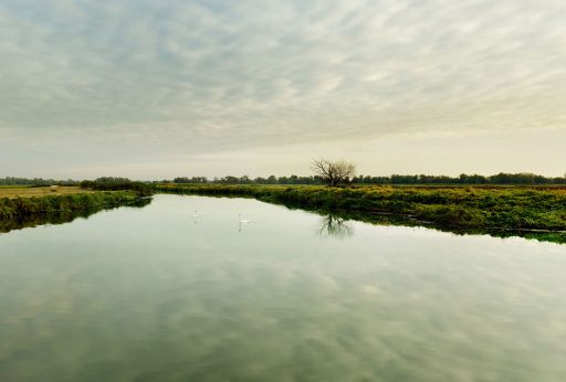 Nationalpark Unteres Odertal in Brandenburg.
