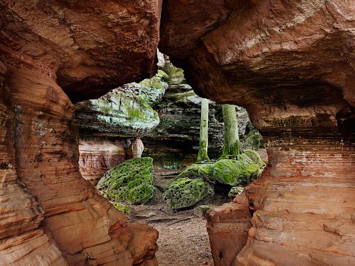 Altschlossfelsen, Biosphärenreservat Pfälzerwald