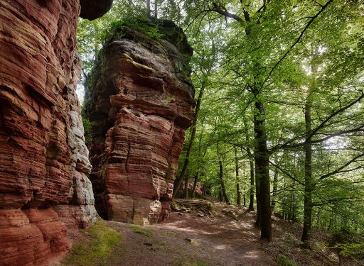 Altschlossfelsen, Biosphärenreservat Pfälzerwald.
