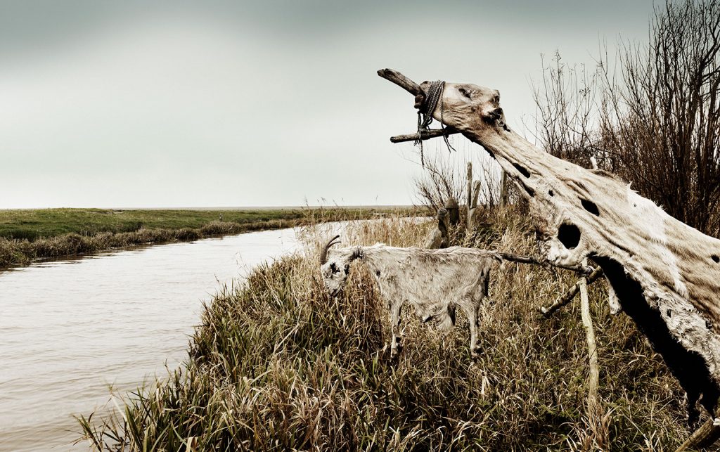 Bork Vikingehavn viking cult site