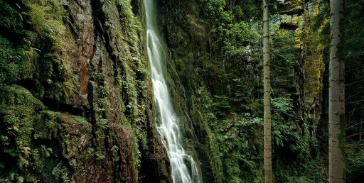 Burgbach Wasserfall im Schwarzwald