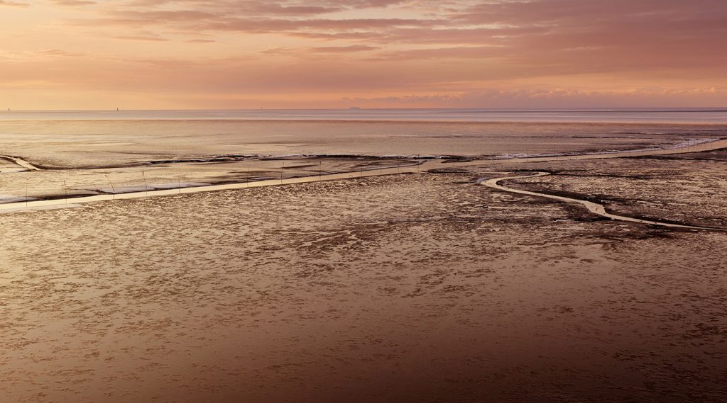 Wadden Sea near Dorum on a winter evening