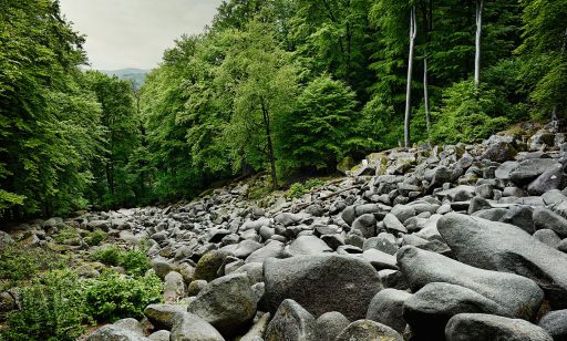 Felsenmeer im Odenwald.