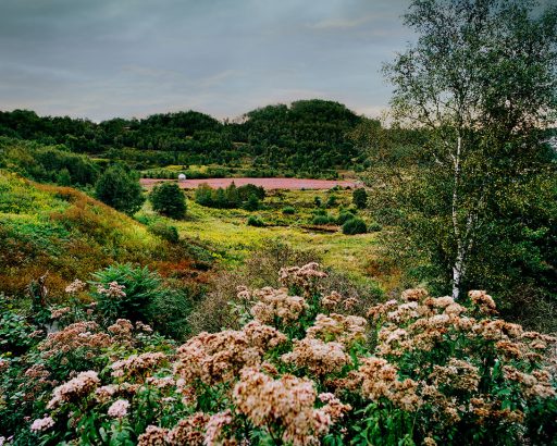 Grube Messel, Hessen.