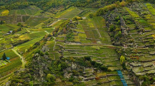 Steile Weinberge der Mönchhalde oberhalb der Ahr bei Mayschoss