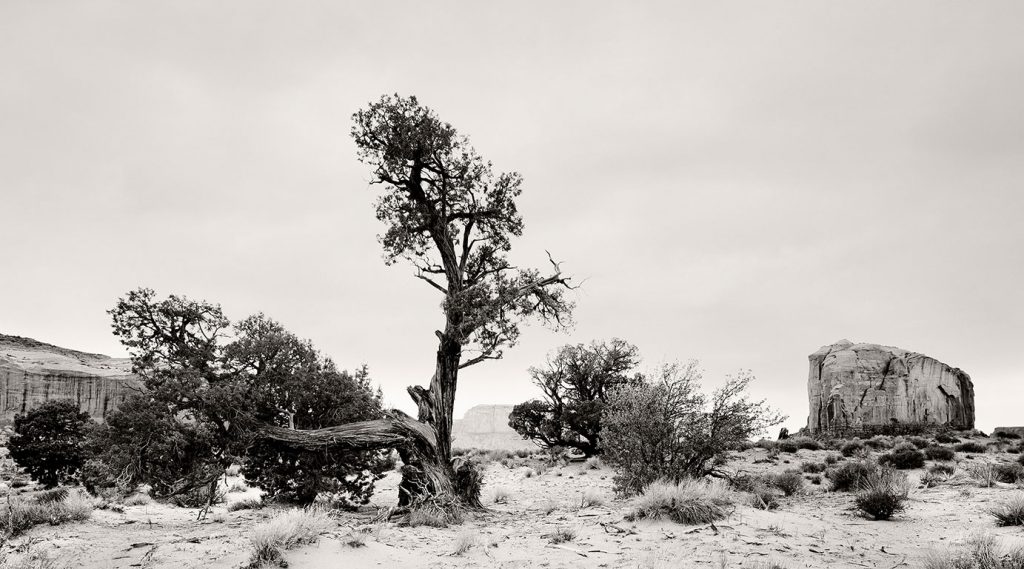 Monument Valley and the rock formation "Elephant Butte".