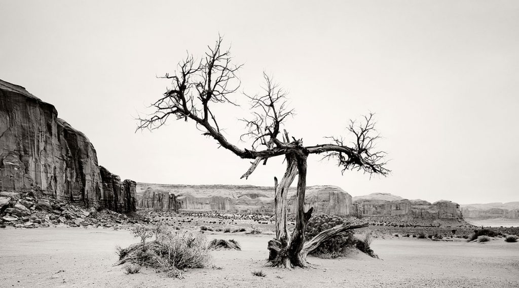 Monument Valley and a tree in the North Window.