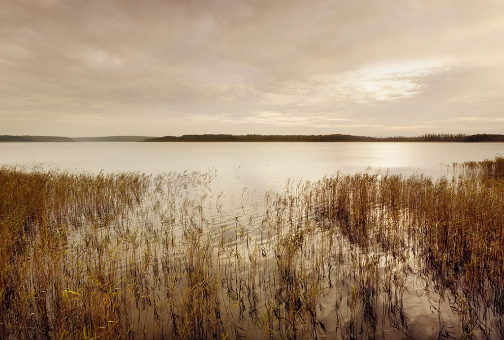 Priesterbaeker See im Mueritz Nationalpark.