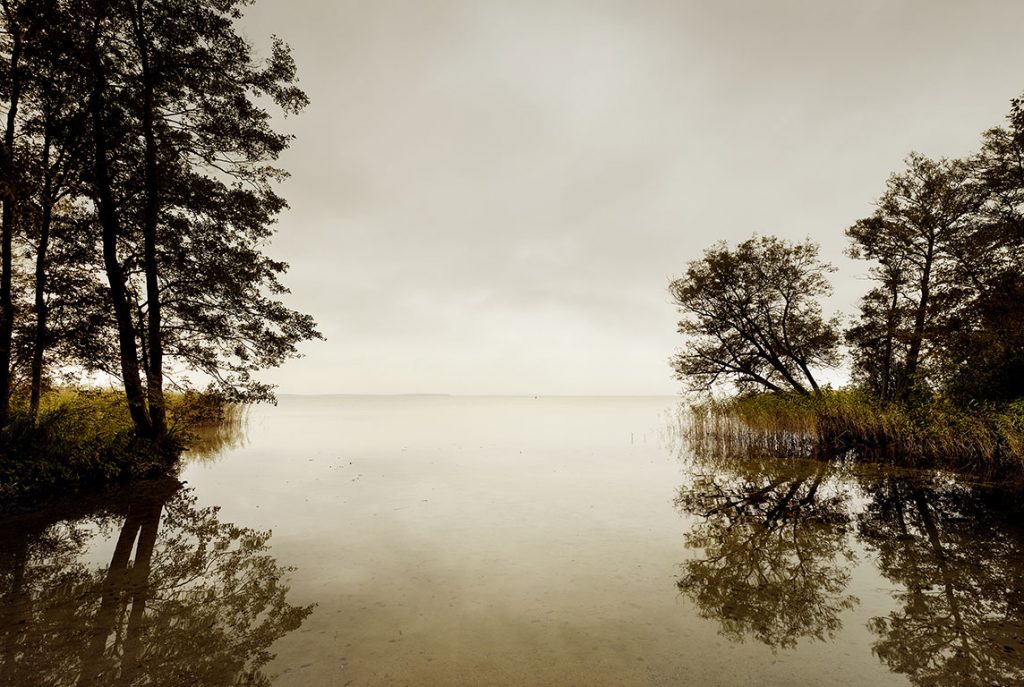 See im Müritz Nationalpark