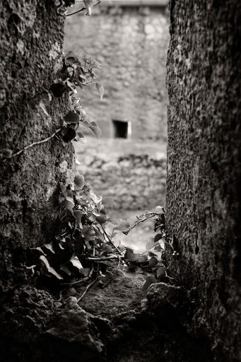 Window, Cathar castle Peyrepertuse, France.