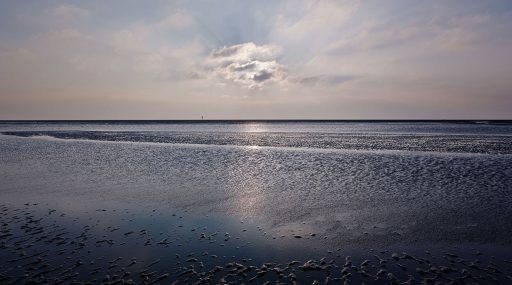 Wattenmeer bei St. Peter Ording, Nationalpark Schleswig-Holsteinisches Wattenmeer.