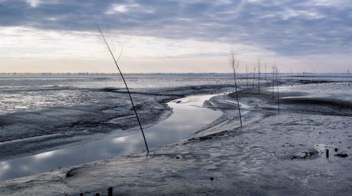 Priel durch das Wattenmeer bei Wremen